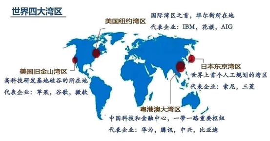 解析与落实，关于新澳开奖结果的探讨与前瞻（至2025年）