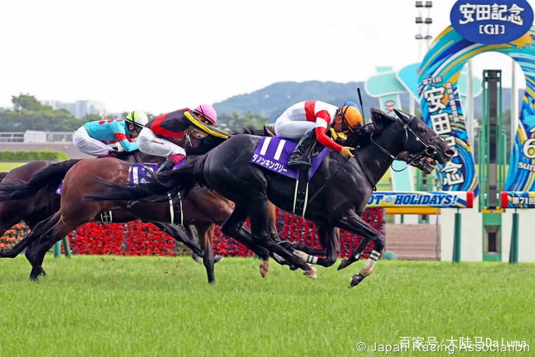 香港特马资料王中王与富强的解析落实